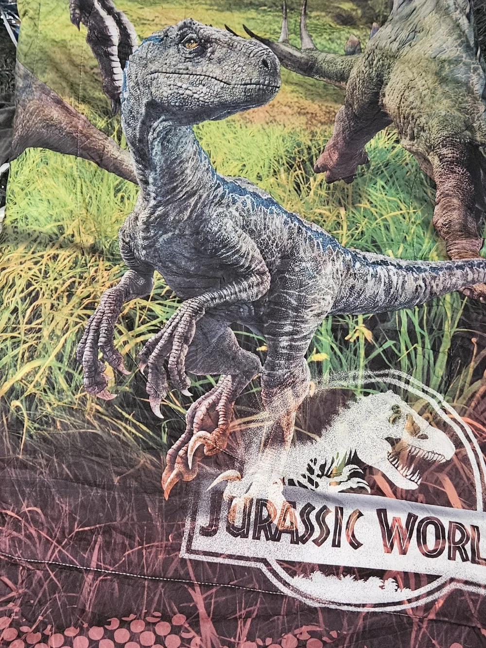 Jurassic World Sheet Set And Comforter.
